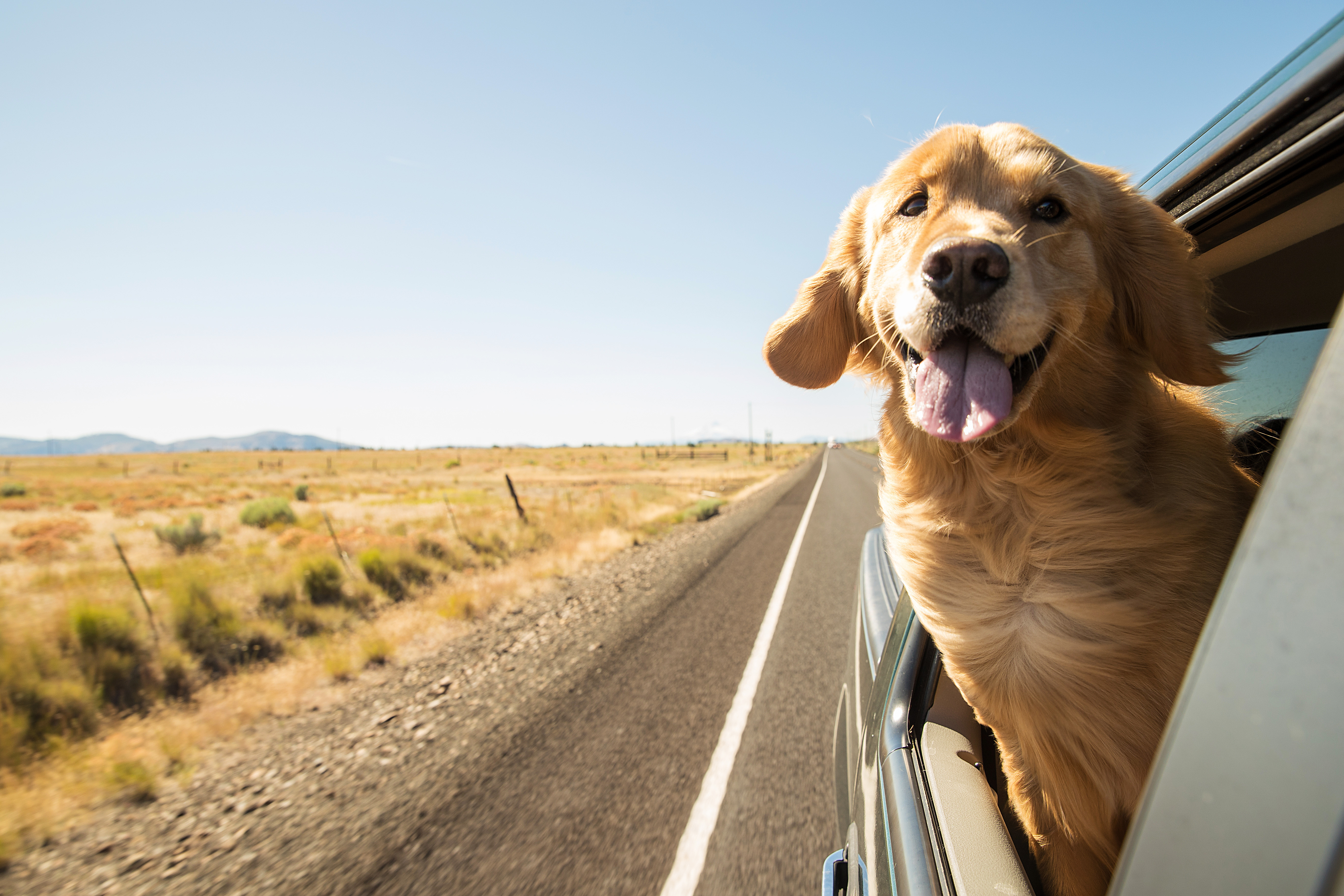 Your Essential Maintenance Checklist: Keep Your European Vehicle Running Smoothly